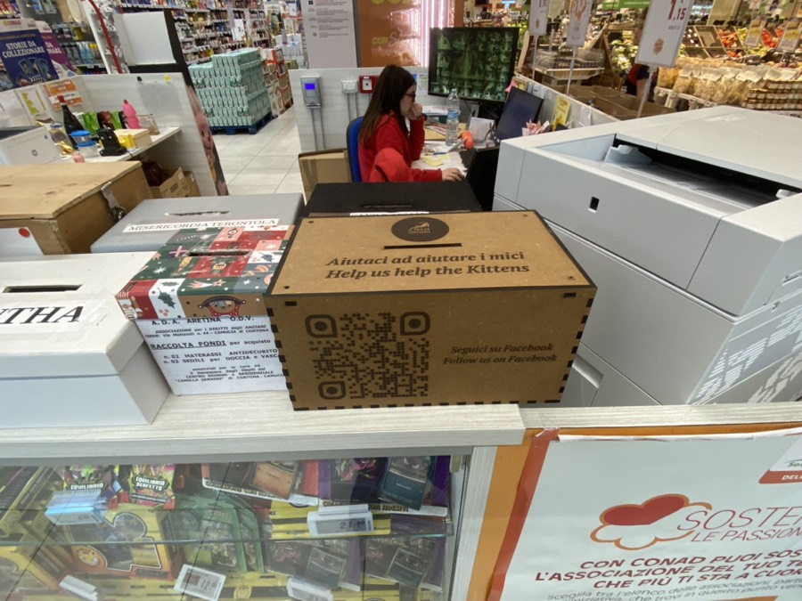 MDF donation box given to the Casa Mauu cat shelter